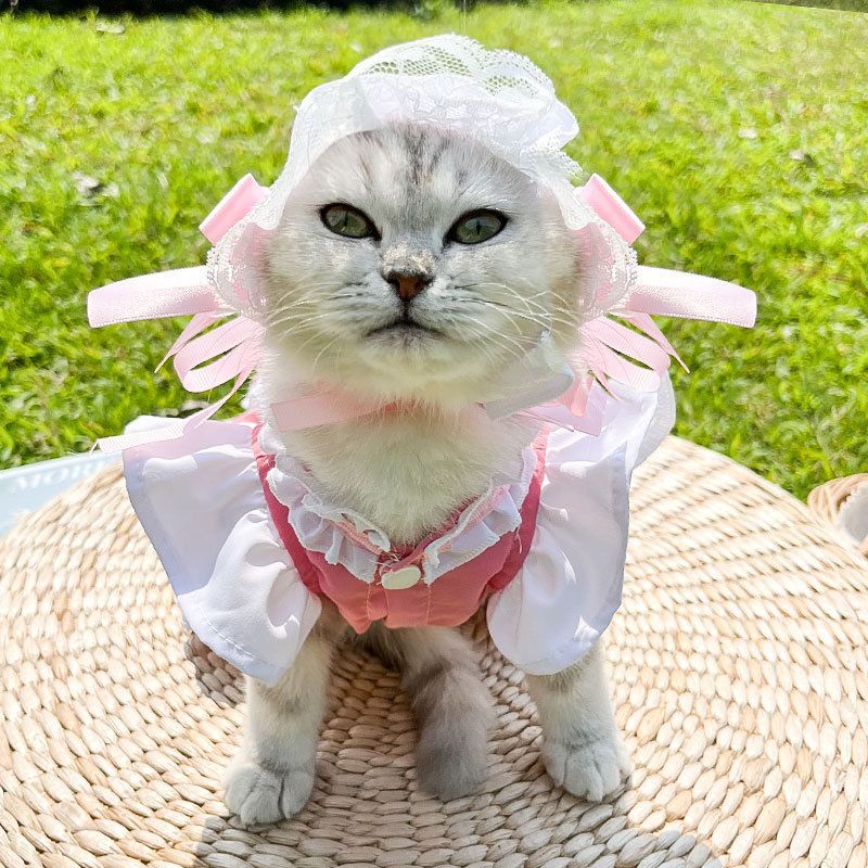French Maid Pet Costume Dog Cat Lolita Dress Bulldog Bichon Clothing With D-ring