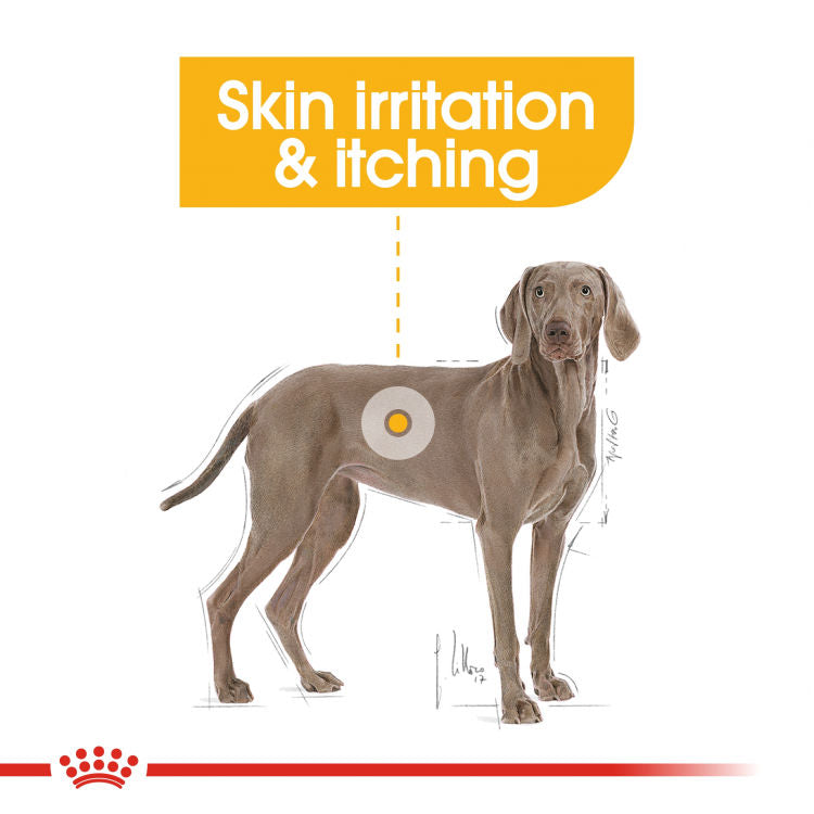 Royal Canin Canine Care Nutrition Maxi (Derma comfort) - 12kg