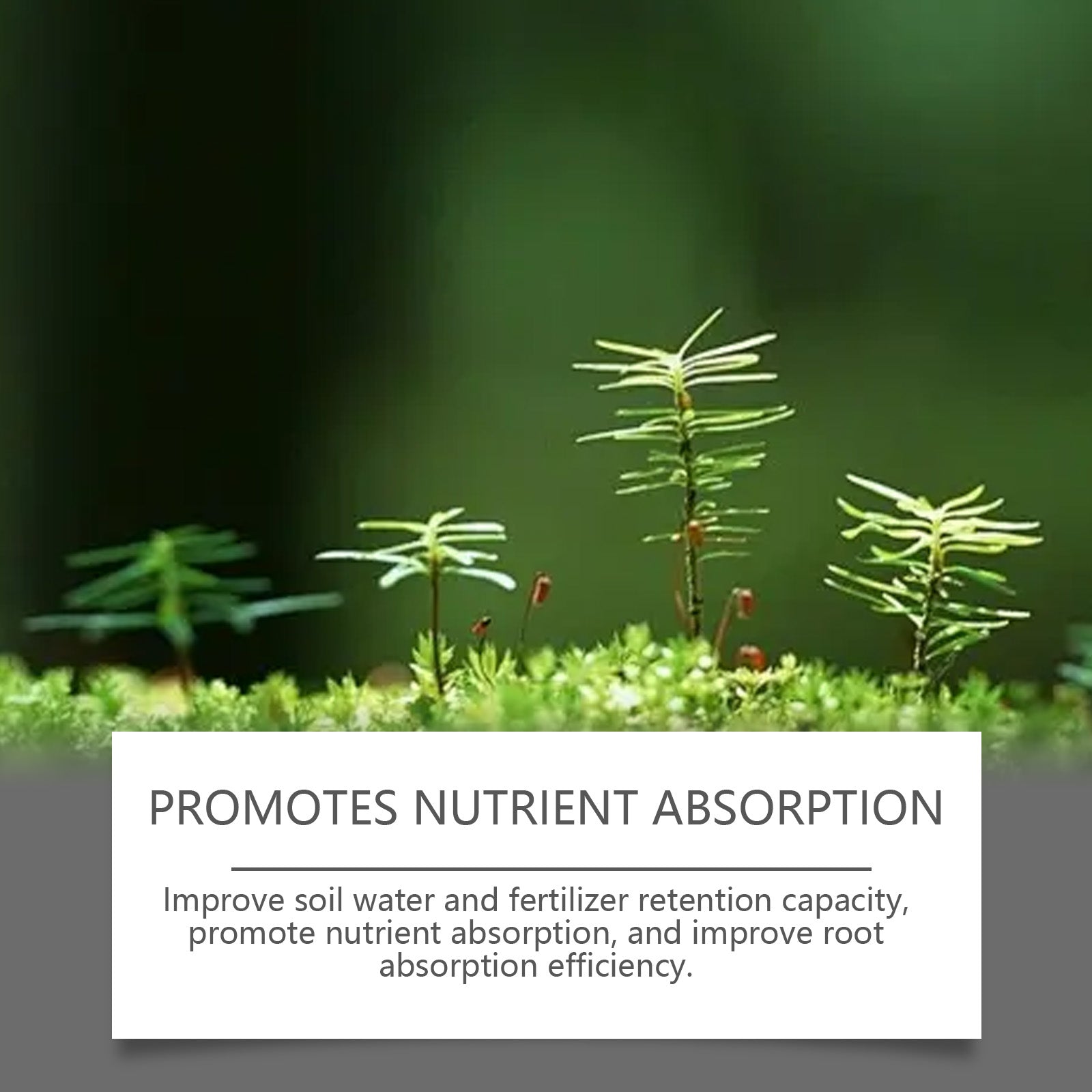 Boost Plant Growth with Soil Activator, Nutrient Supplement, Soil Health ,200g