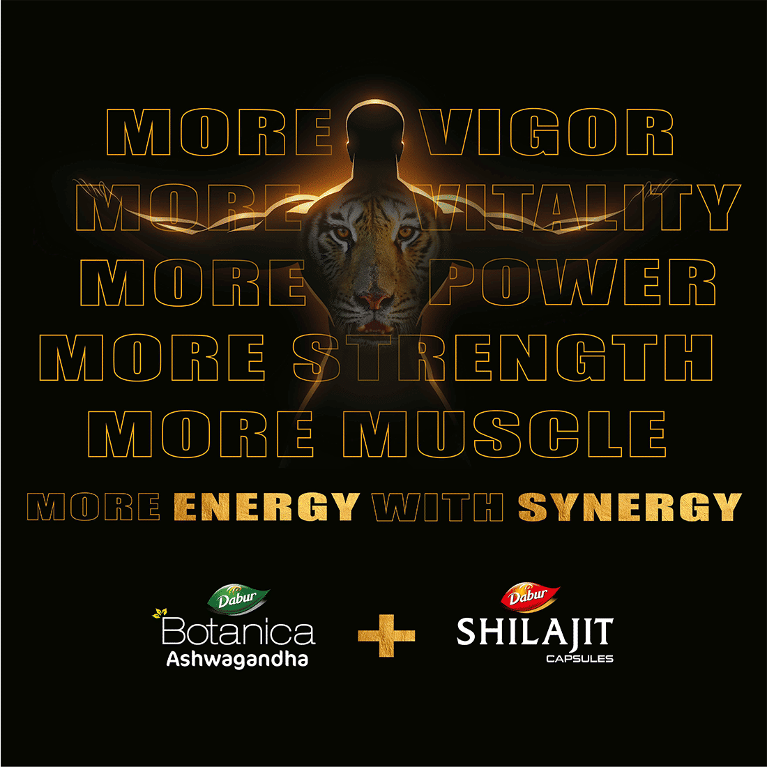 حزمة دابور لتعزيز الطاقة والقدرة على التحمل، كمية تكفي لشهر واحد