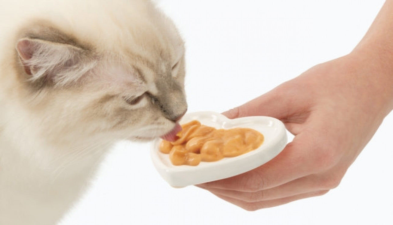 Catit Creamy Lickable Treats - Chicken  12 pk / box