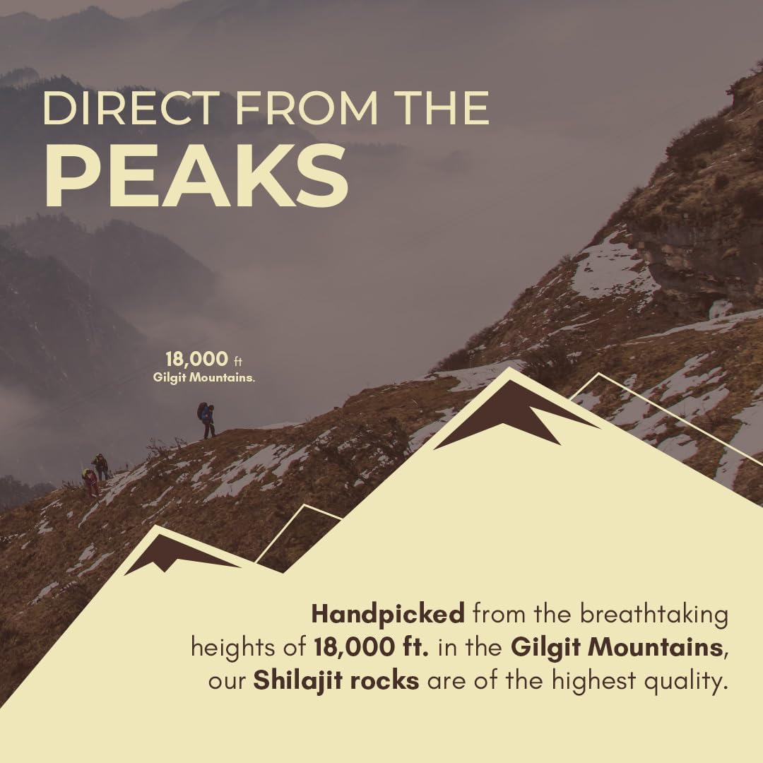 Rasayanam Pure Shilajit Resin 20gm