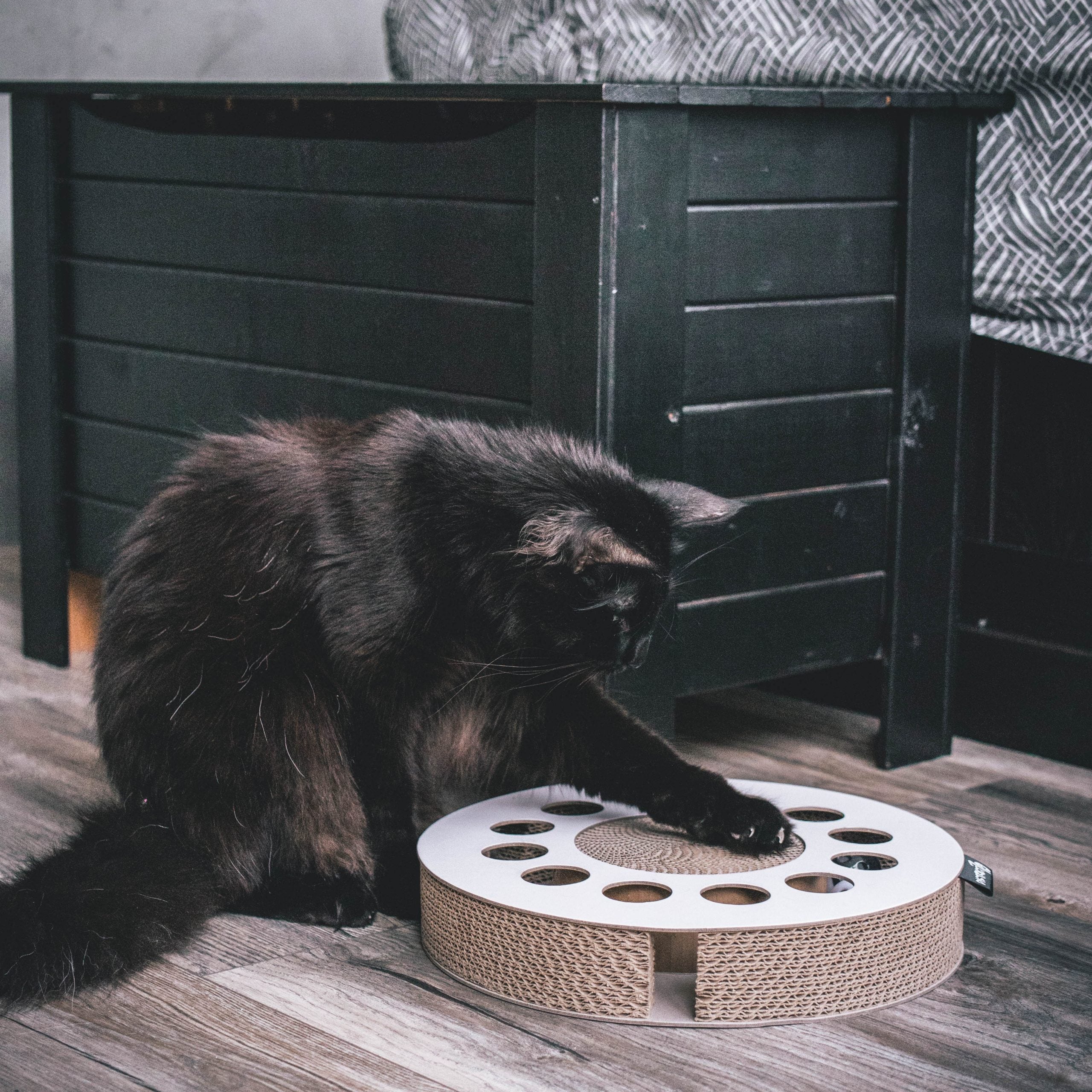 Whirl Cardboard Cat Scratch Toy