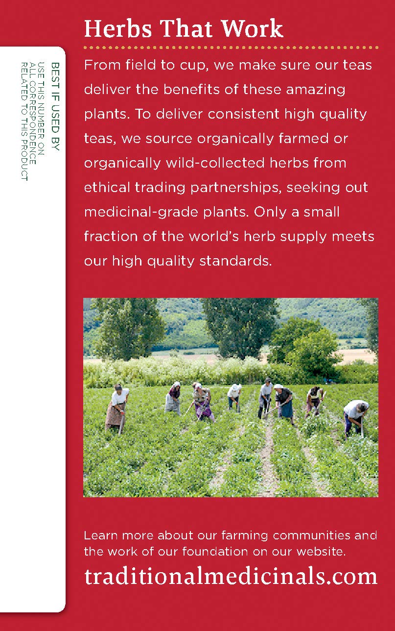 Traditional Medicinals Teas Organic Echinacea Plus Elderberry Tea, Elder 16 Bags (Pack Of 1)