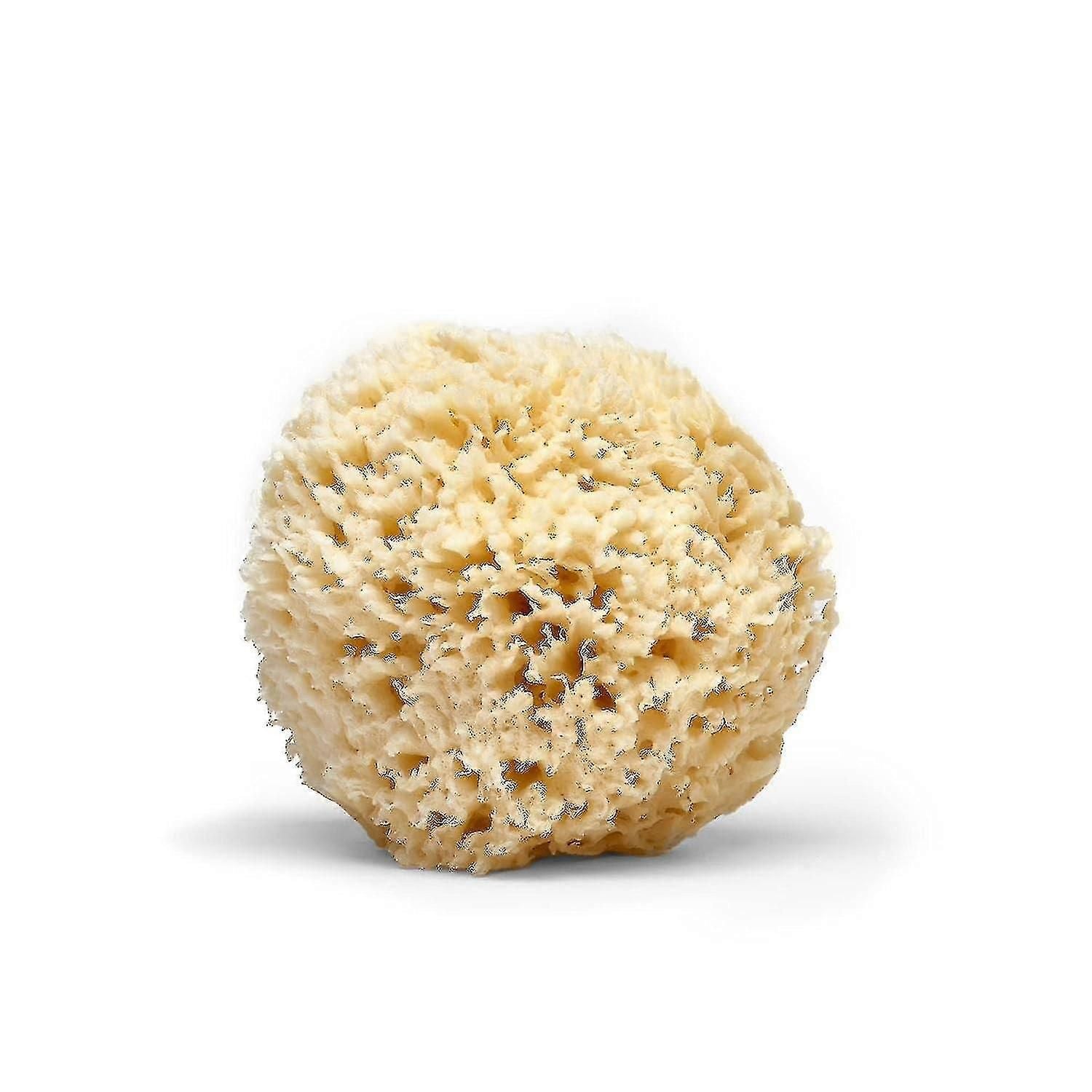 Natural Sea Wool Bath Sponge for Face and Body Cleansing