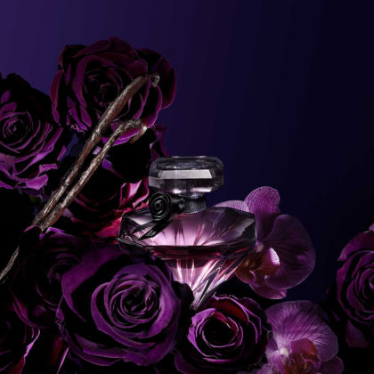 La Nuit TrÃ©sor Eau de Parfum 75ml