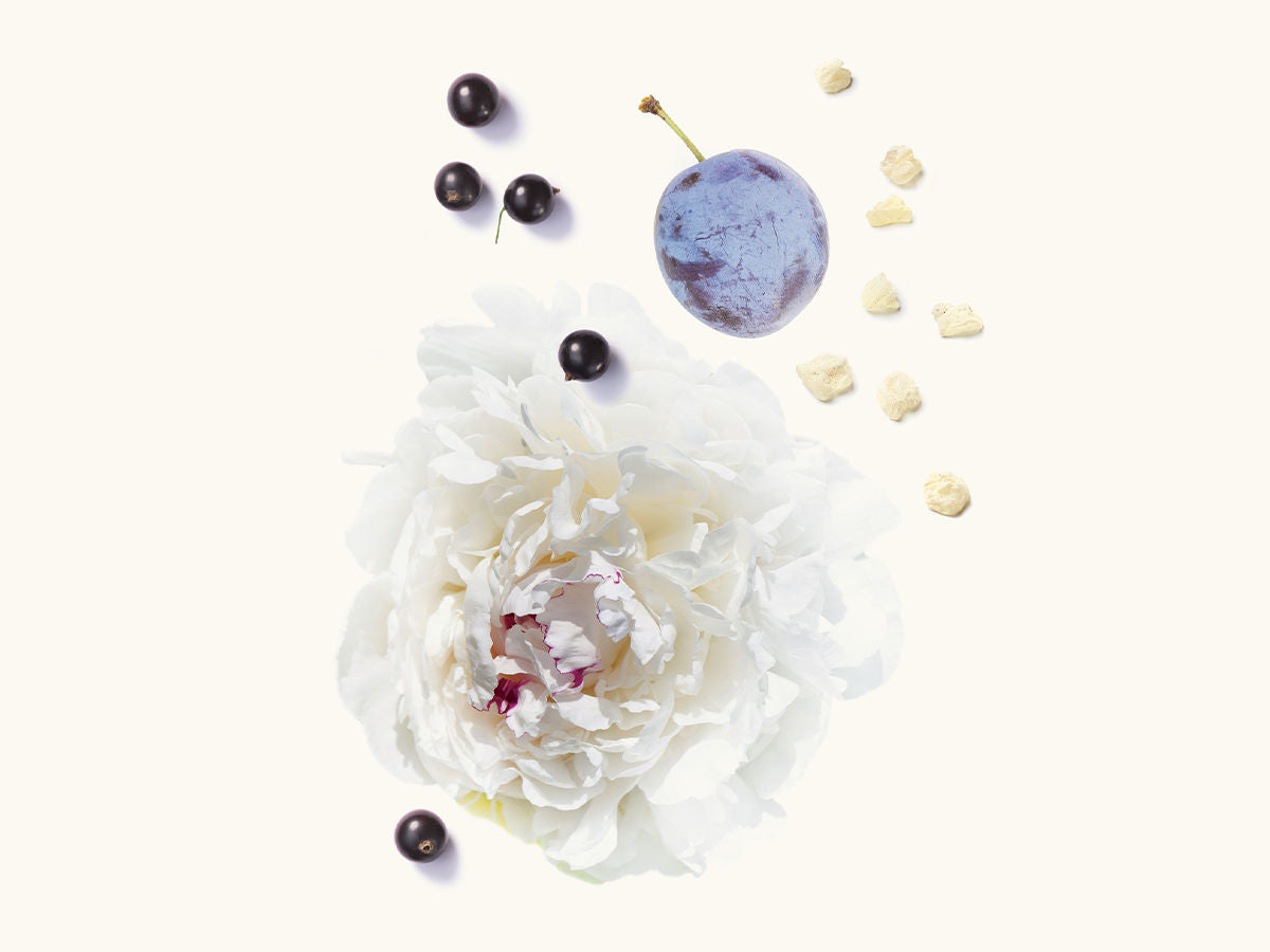 Black IV Extrait de Parfum 50ml