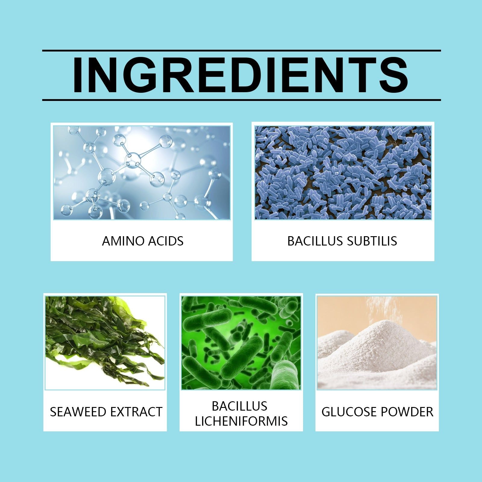 Boost Plant Growth with Premium Nutrition Powder, Enhance Vitality, Easy to Use ,100g