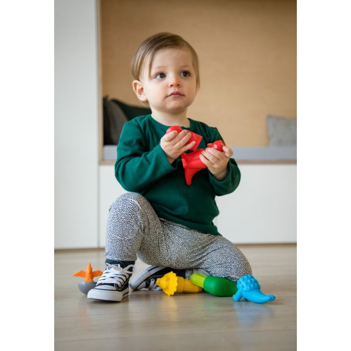 My First Dinosaurs By Smartmax