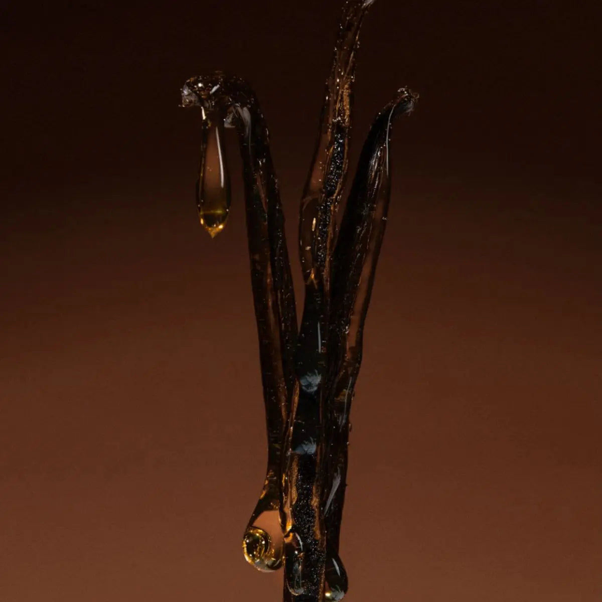 Crème Ebène Intense Eau de Parfum 100ml