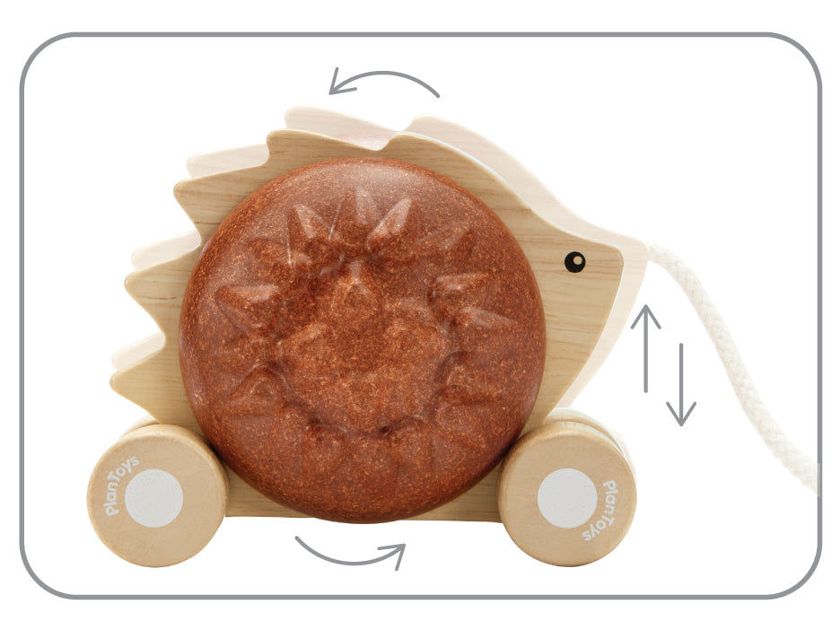 Pull - Along Hedgehog - Brown