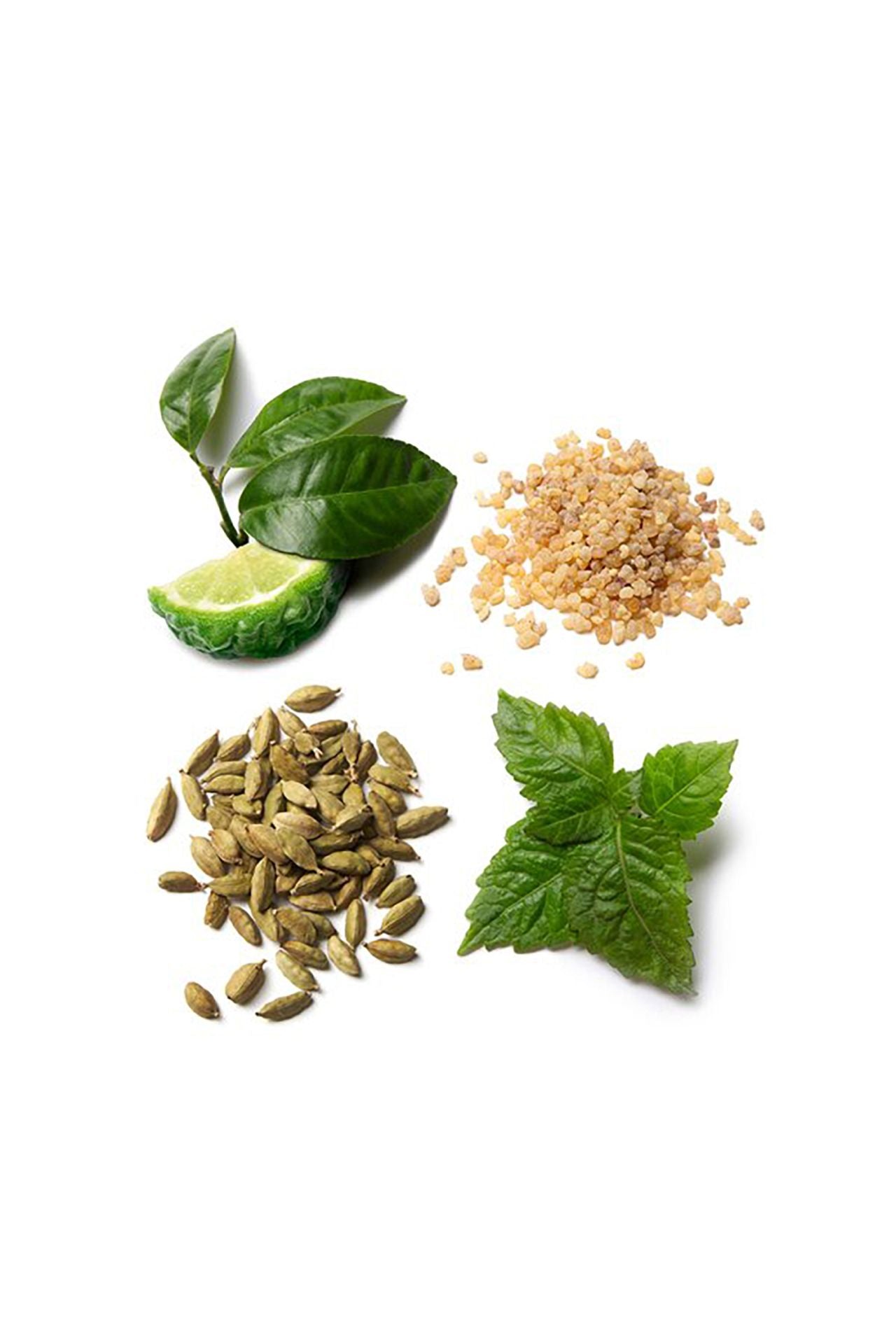 Essentiel Eau de Parfum