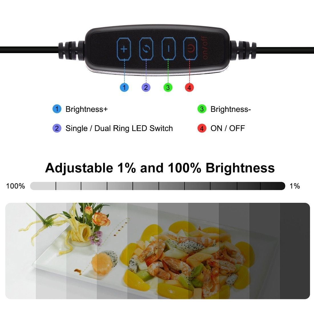 Photography Light Box Ring Light Photo Lighting Studio Portable Lighting Tool