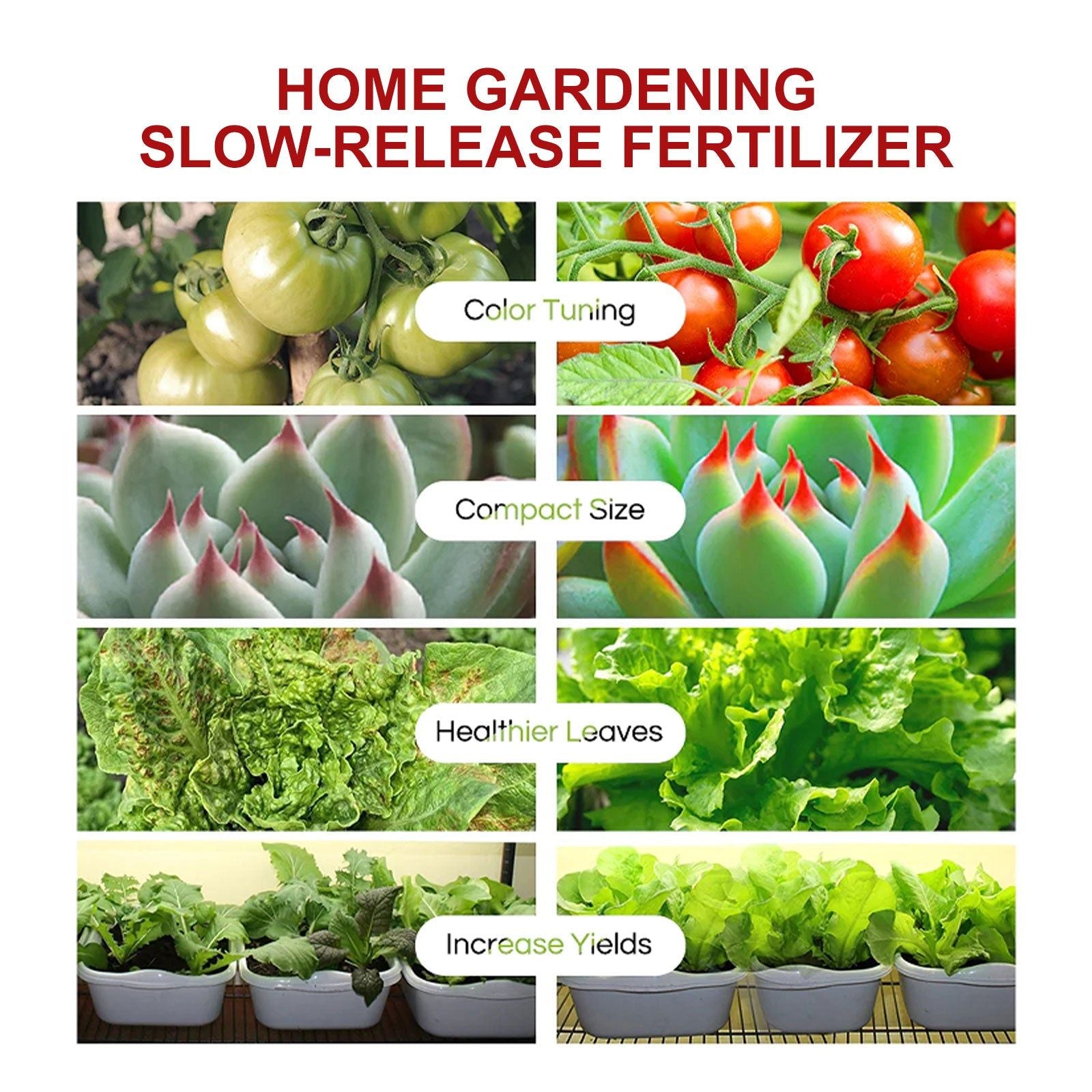 Boost Plant Growth with Sustained Release Tablet, Fast Results, Healthy Vegetables ,22pcs