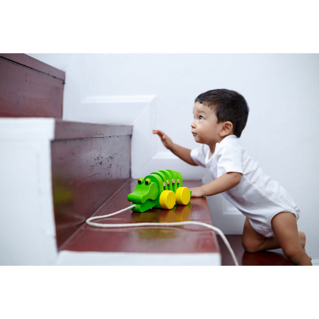 تمساح راقص من PlanToys