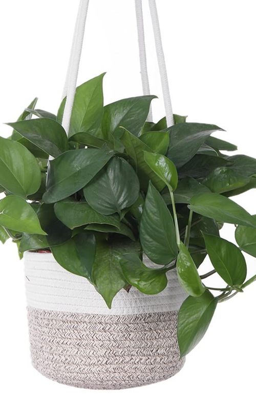 Jute Rope Woven Indoor Plant Hanging Holder For Decor