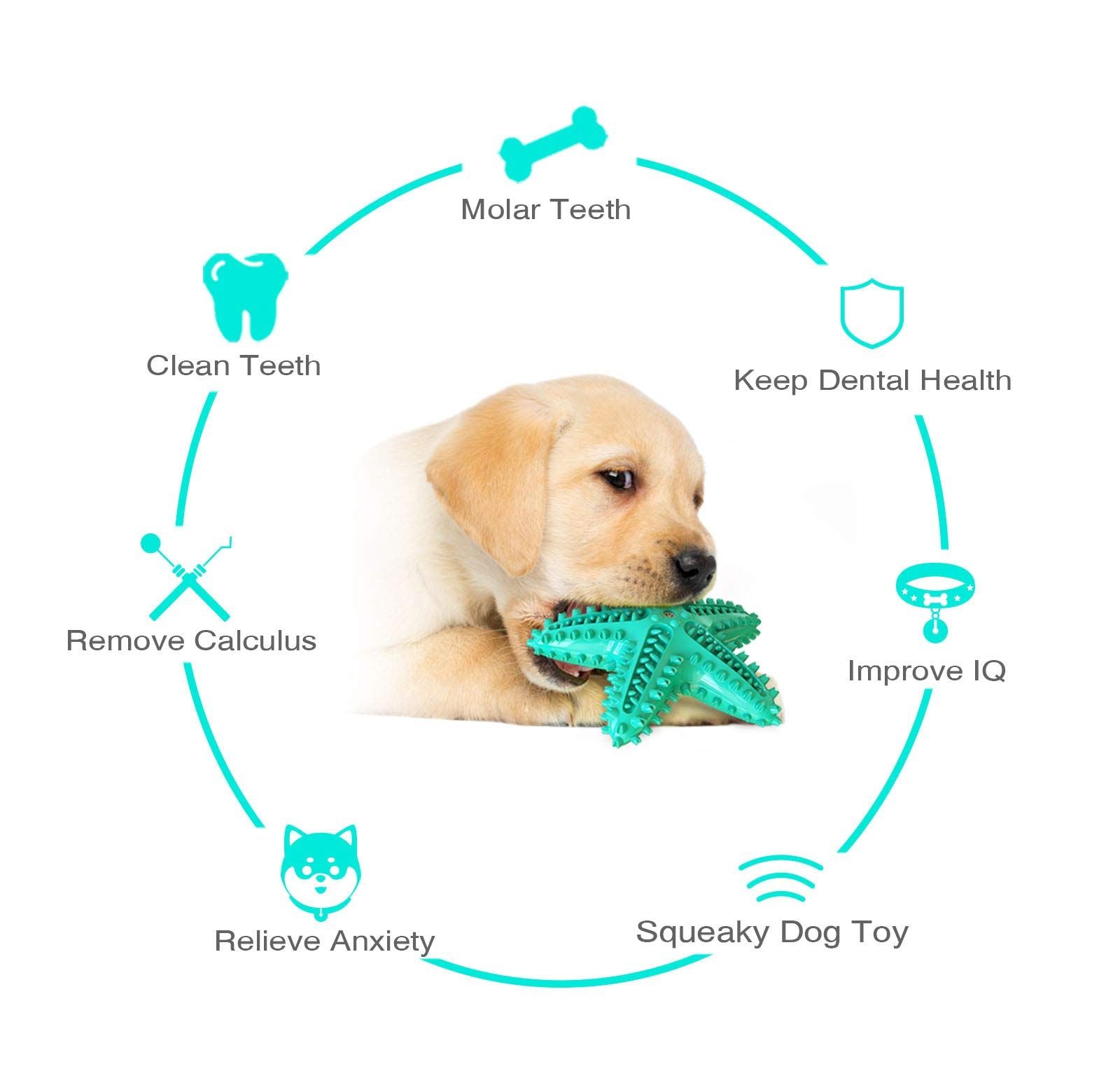 Dog Chew Toy Toothbrushes Starfish Squeaky Molar