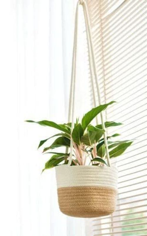 Jute Rope Woven Indoor Plant Hanging Holder For Decor