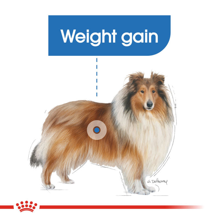 Royal Canine Care Nutrition Maxi Light Weight Care 12 kg