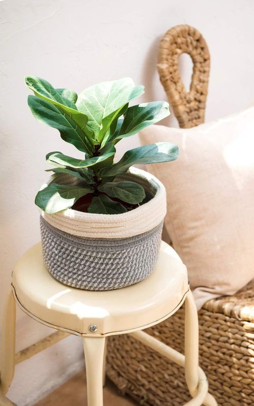 Mini Woven Jute Cotton Rope Plant Storage Basket for Home