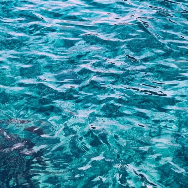 عطر L'Homme 100 مل