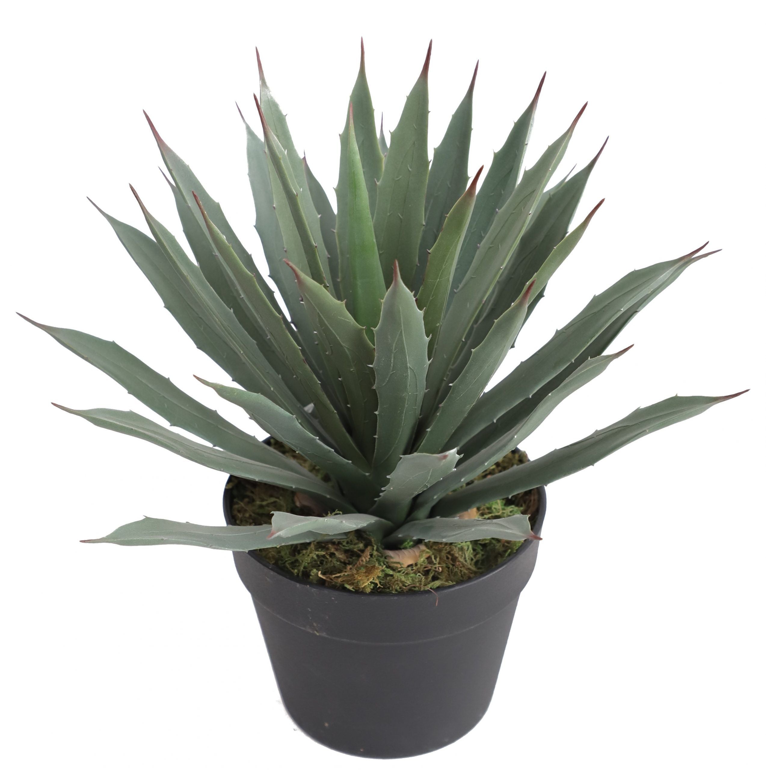 40cm Realistic Artificial Agave Plant #AC28040