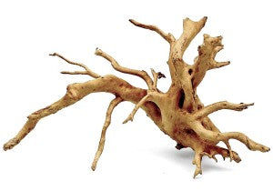 Wood Root