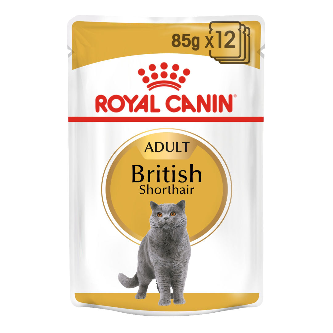 Royal Canin Feline Breed Nutrition British Shorthair Wet Food Pouches, 12x85gm
