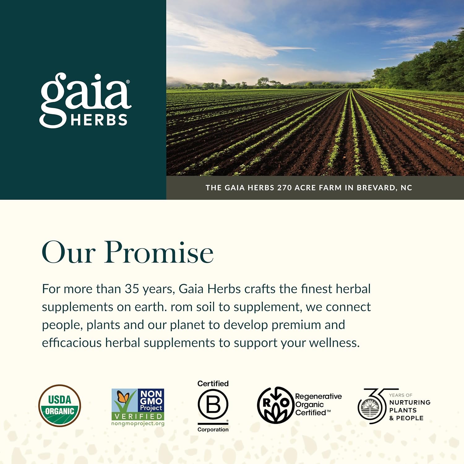 Gaia Herbs Vitex Berry Womens Health Support 60 Caps