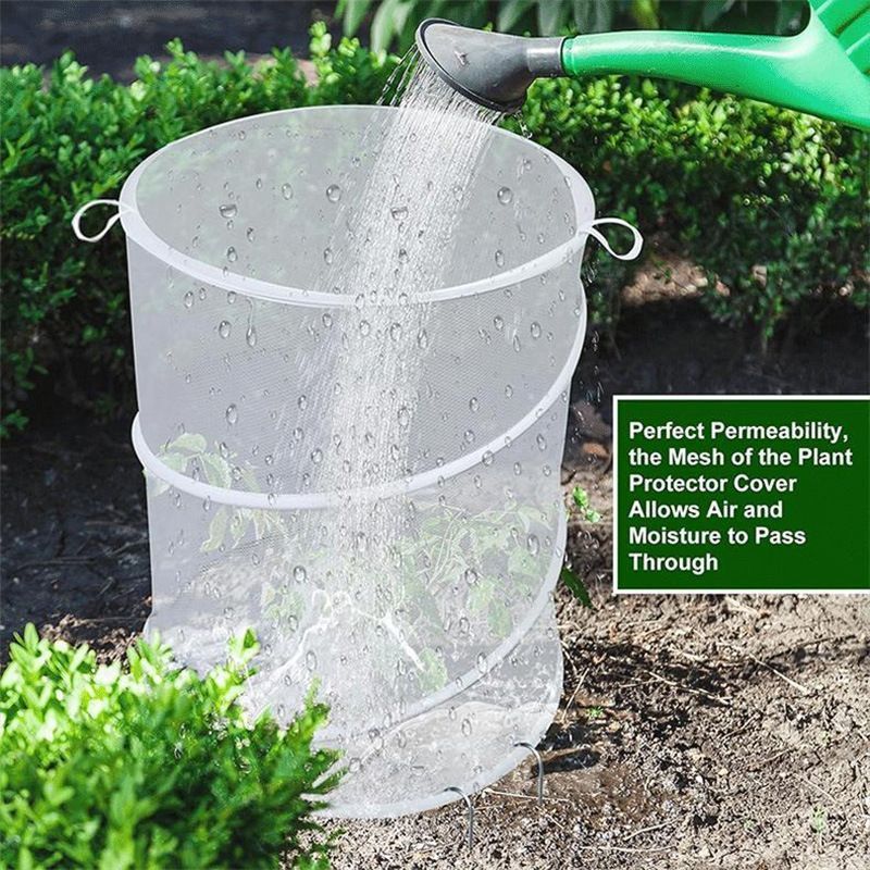 Pop Up Tomato Accelerator Plant Protector Cage Mesh Plant Guard Cover Net Greenhouse