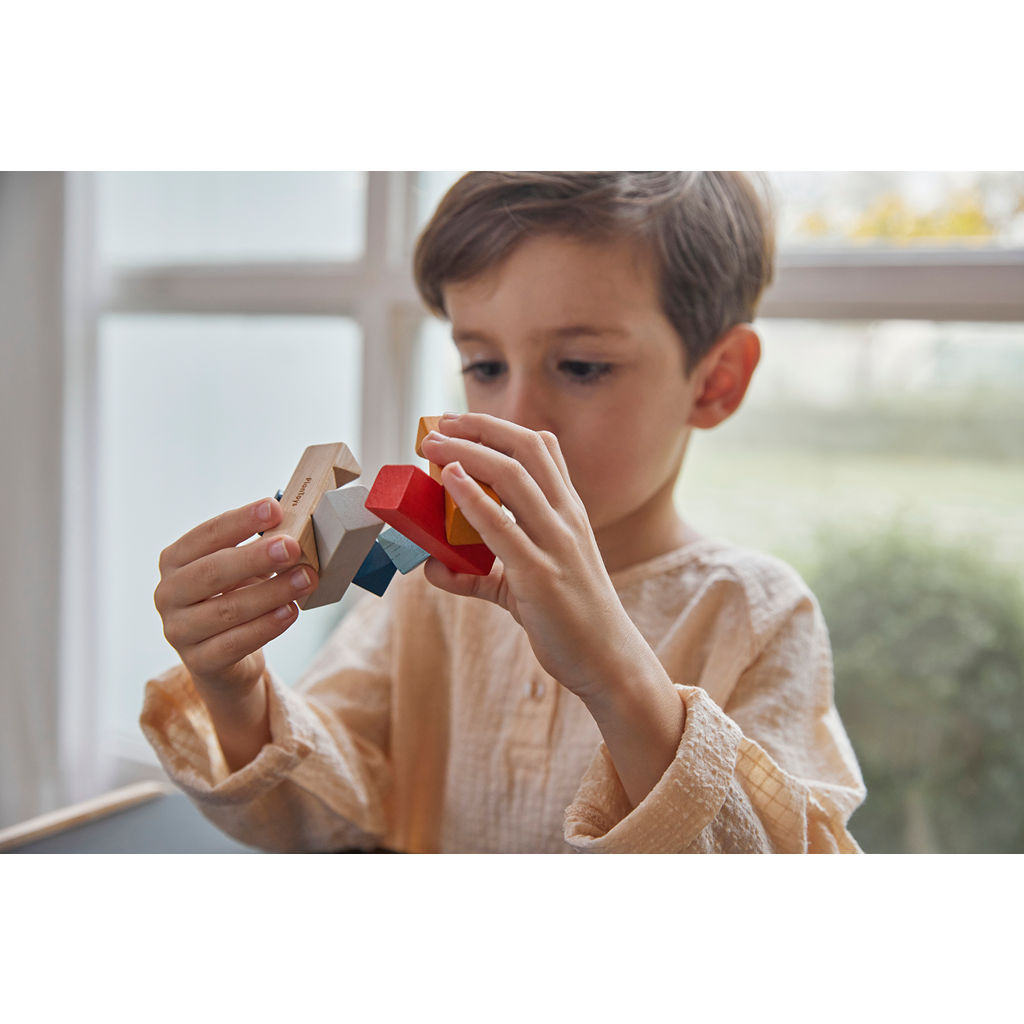 PlanToys PlanMini Rectangular Puzzle