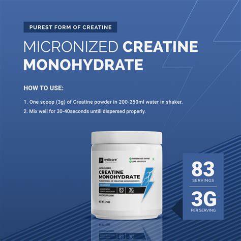Wellcore Creatine Unflavored 250g