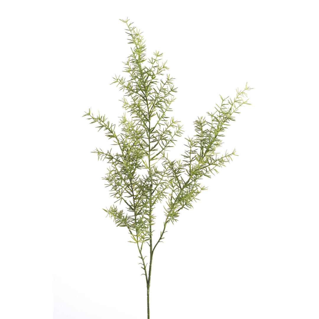 Asparagus Spray X3, Light Green, 60cm