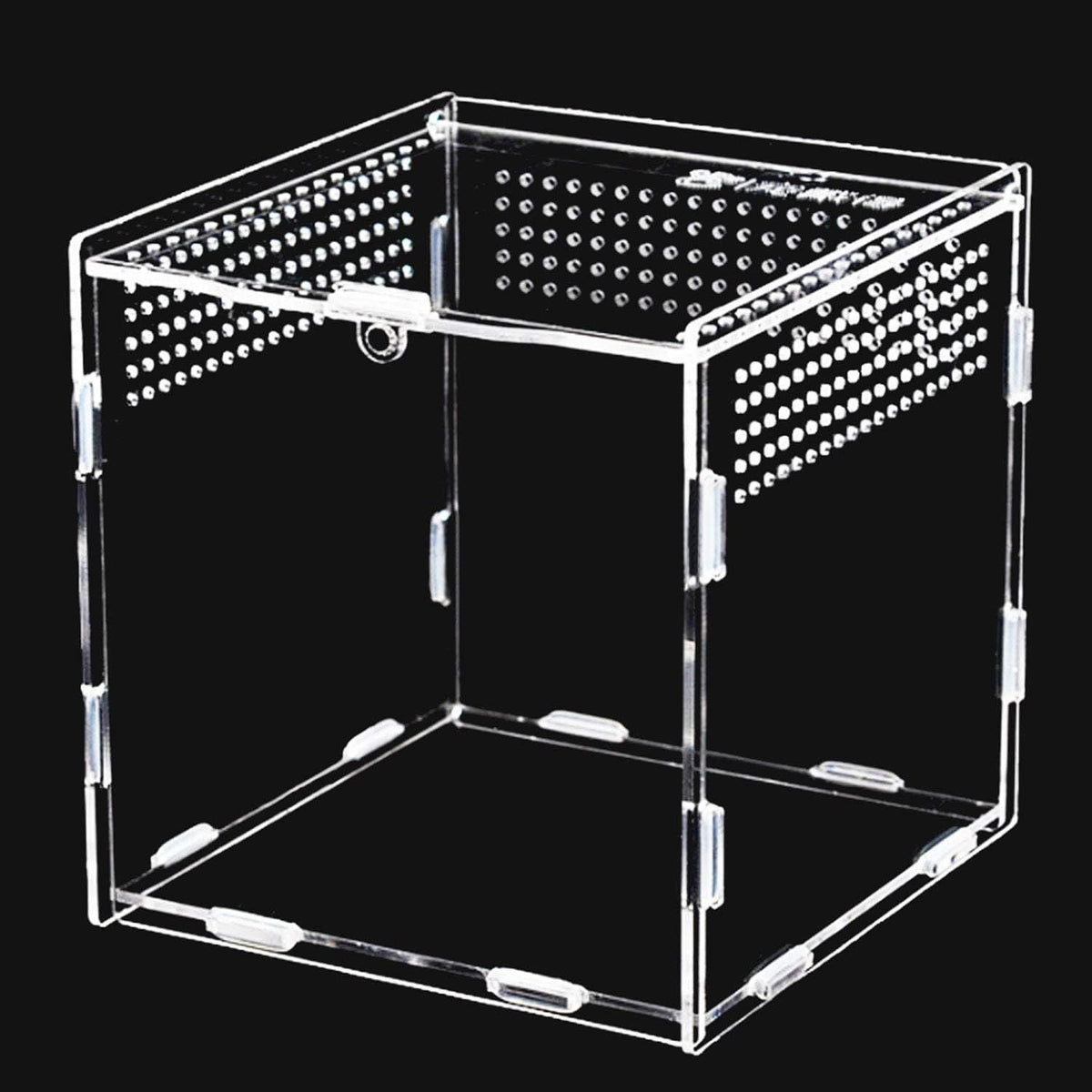 Feeding Box Transparent Acrylic Terrarium Containers for Spider Frog Scorpion