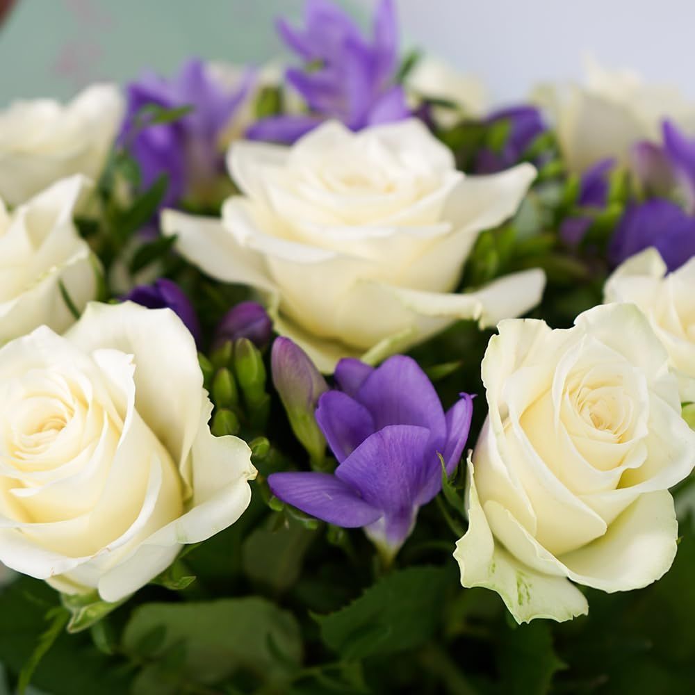 Adult's Indoor Football Shoes Adidas Super Sala II Red