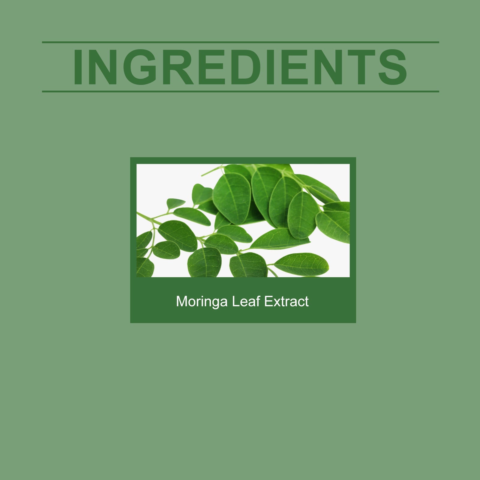 Boost Your Body Care with Moringa Capsules, Reduce Appetite, Enhance Fat Metabolism ,60pcs