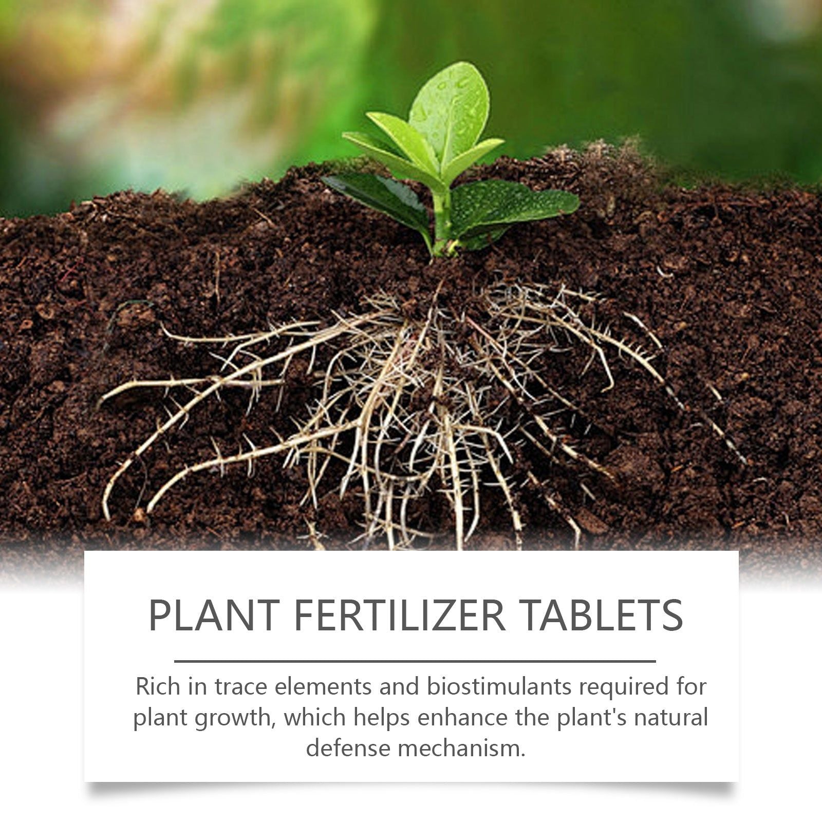 Boost Plant Growth with Organic Effervescent Tablets, Fast-Acting Plant Nutrition ,22 pieces