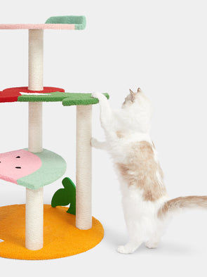 Vetreska Fruit-Shaped Cat Climber