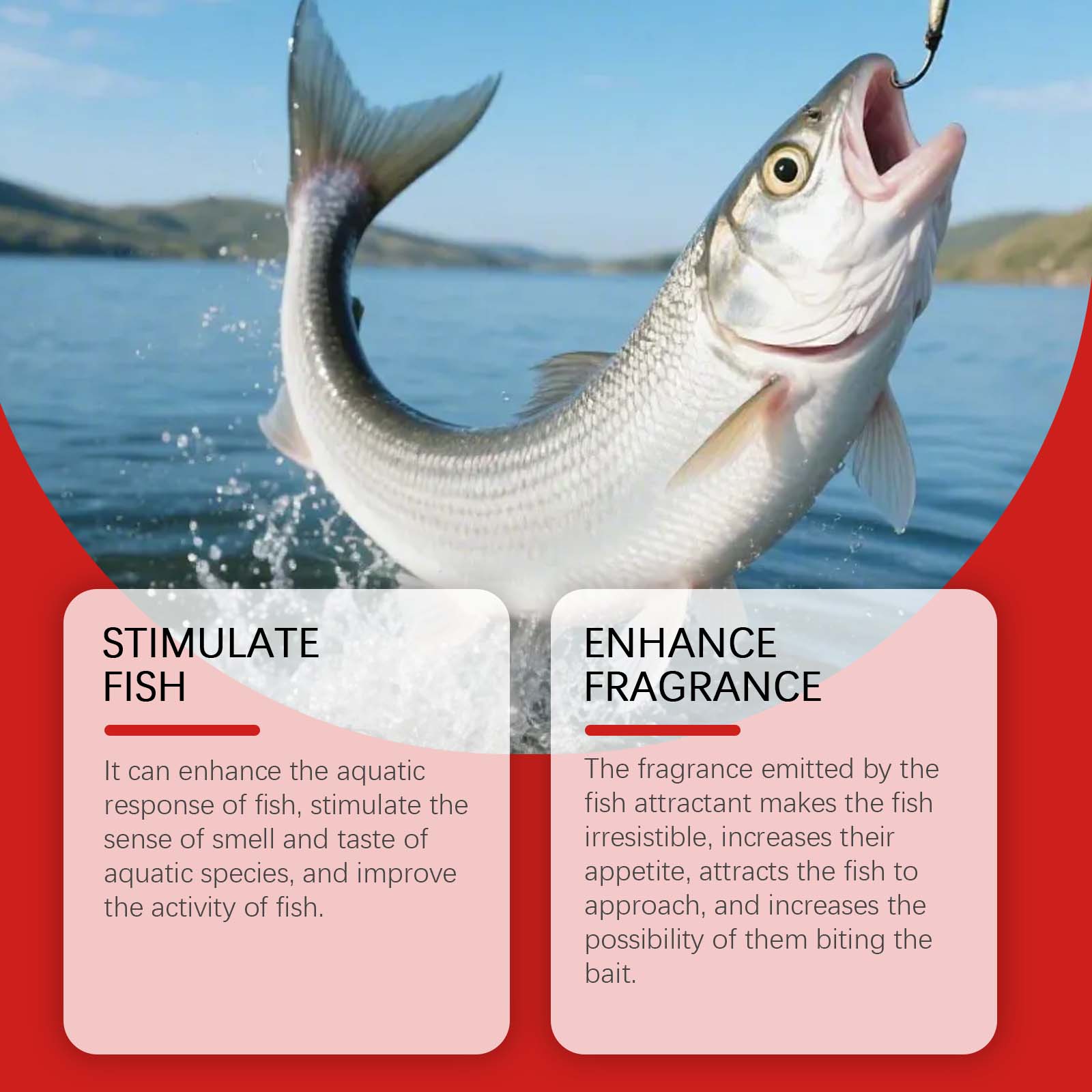 Decoy Fish Bait, Fish Attractant, Reservoir Grass Carp, Wild Fishing, Fish Feed, Enhanced Catch ,60ml