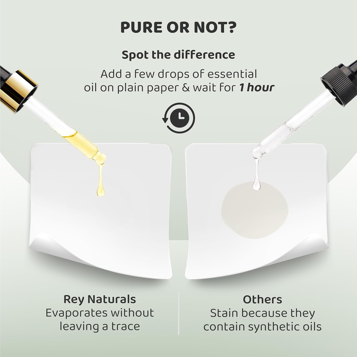 ReyNaturals Tea Tree Oil | Tea Tree Essential Oil for Hair, Skin and Face Care 15 ml Pack of 2