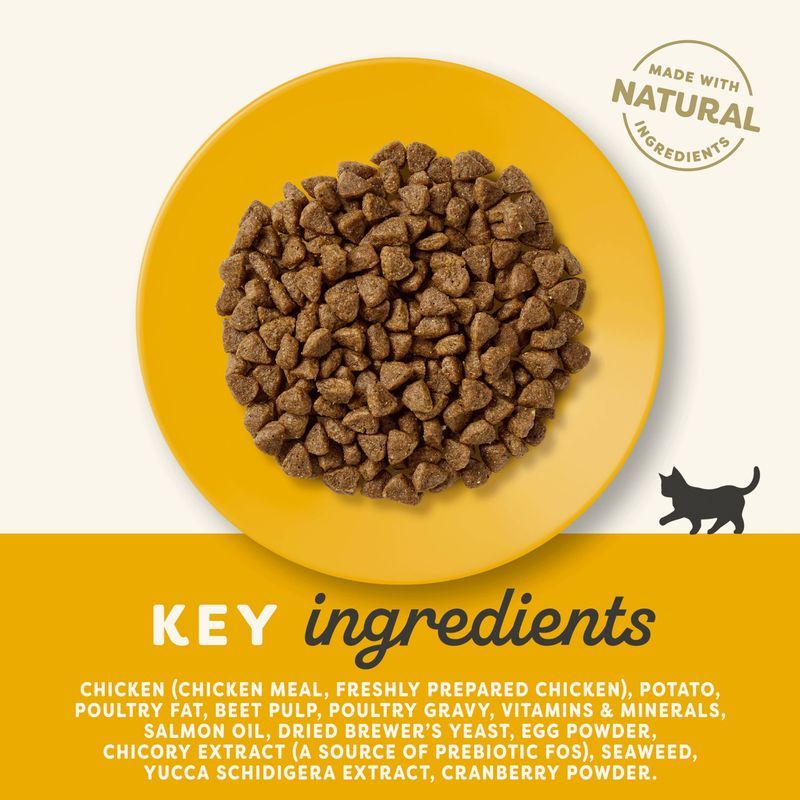 Applaws Chicken Dry Kitten Food