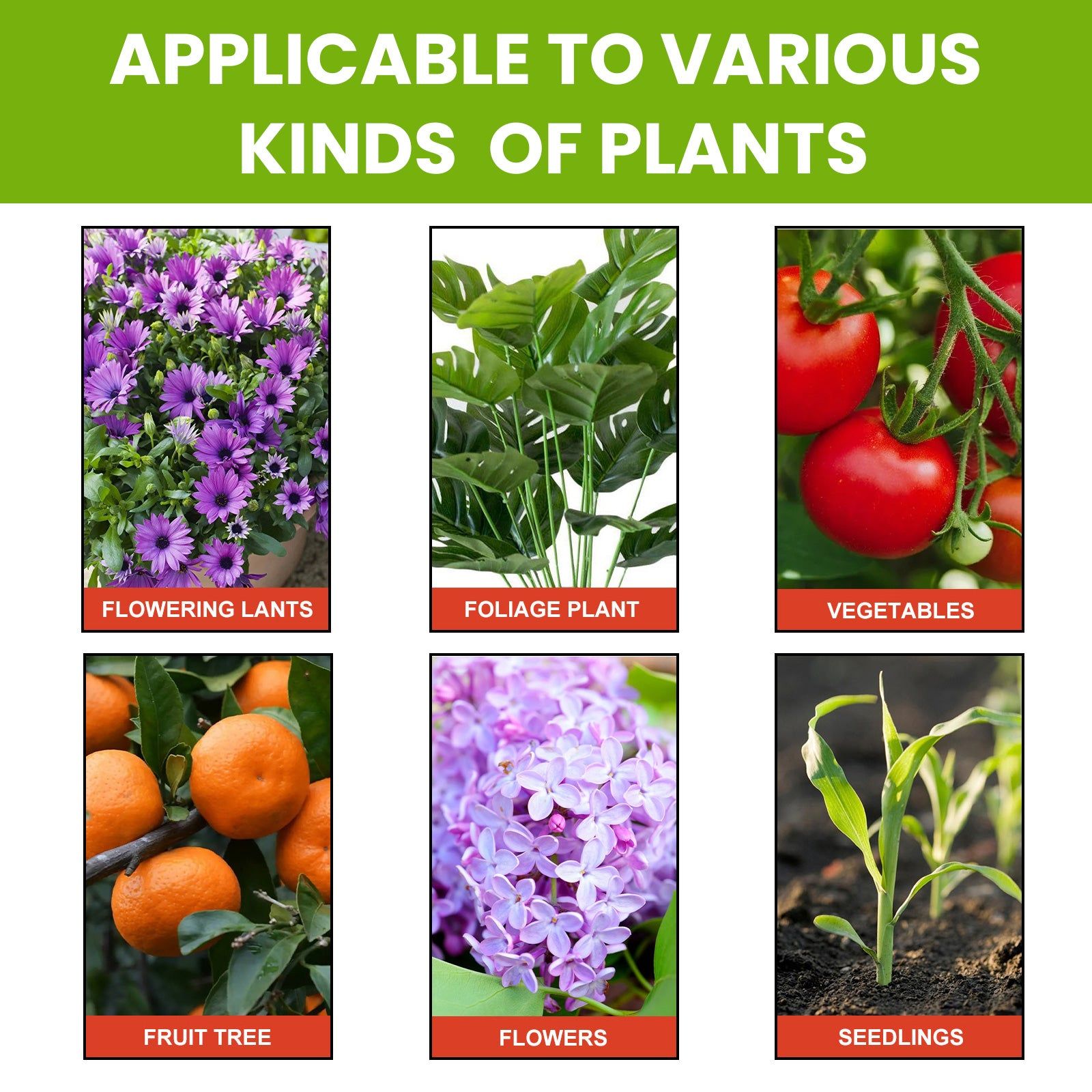Boost Plant Growth Fast, Plant Nutrient Solution for Rooting, Pest Protection ,50ml