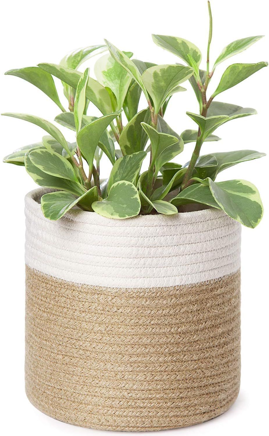 Dahey Small Cotton Rope Woven Coiled Basket for Home