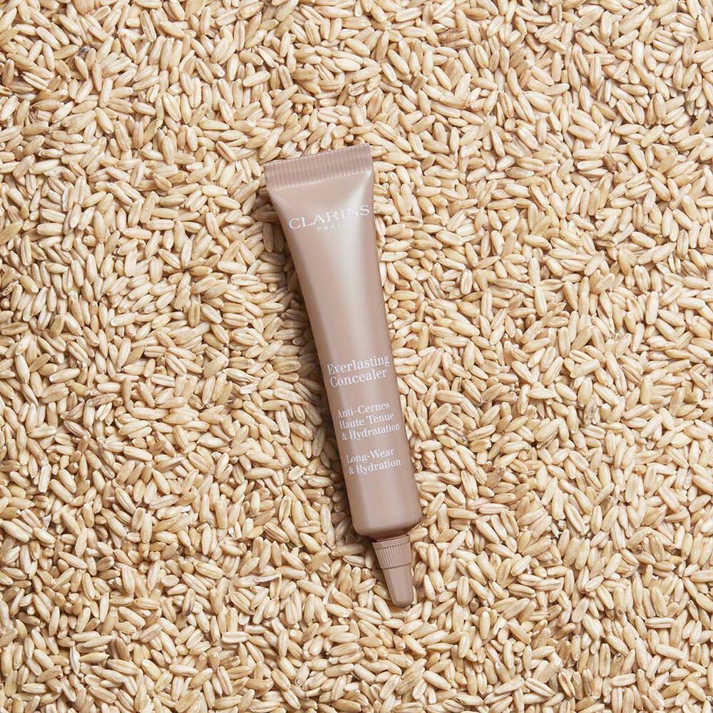 Everlasting Concealer