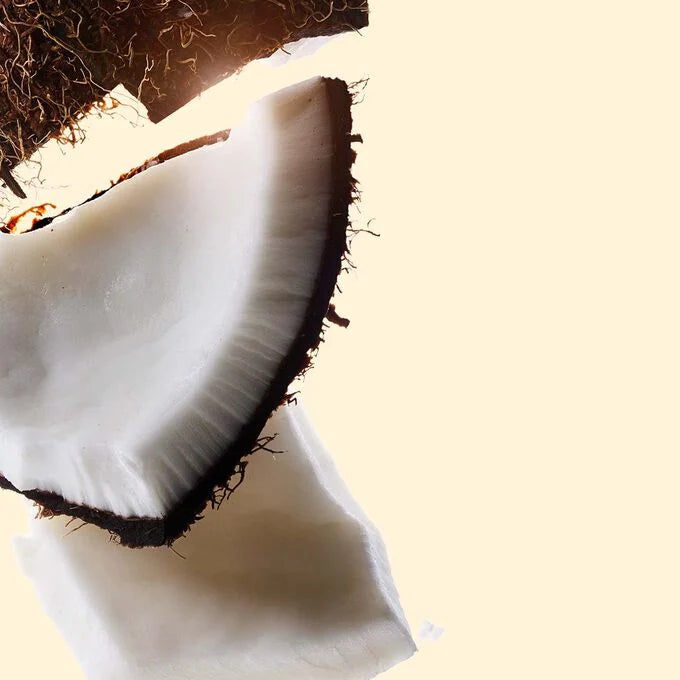 Bronzing Powder Summer Collection