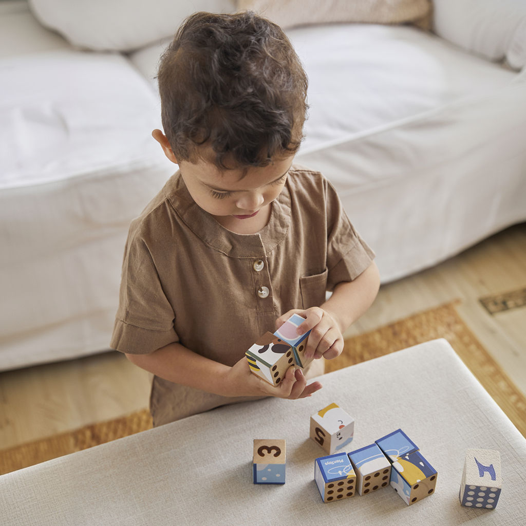 PlanToys Animal Puzzle Cubes
