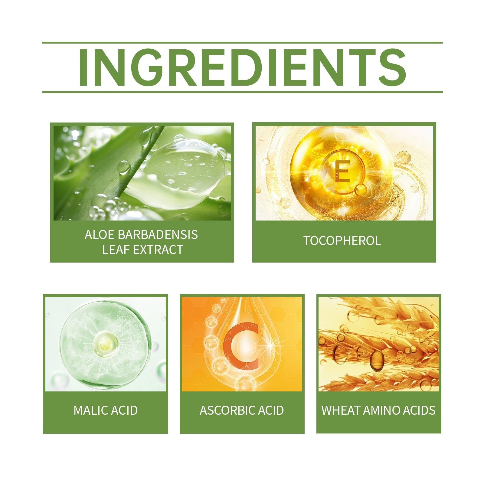 Aloe Amino Acid Exfoliating Gel, Gentle Facial Care for Bright, Smooth Skin ,100g