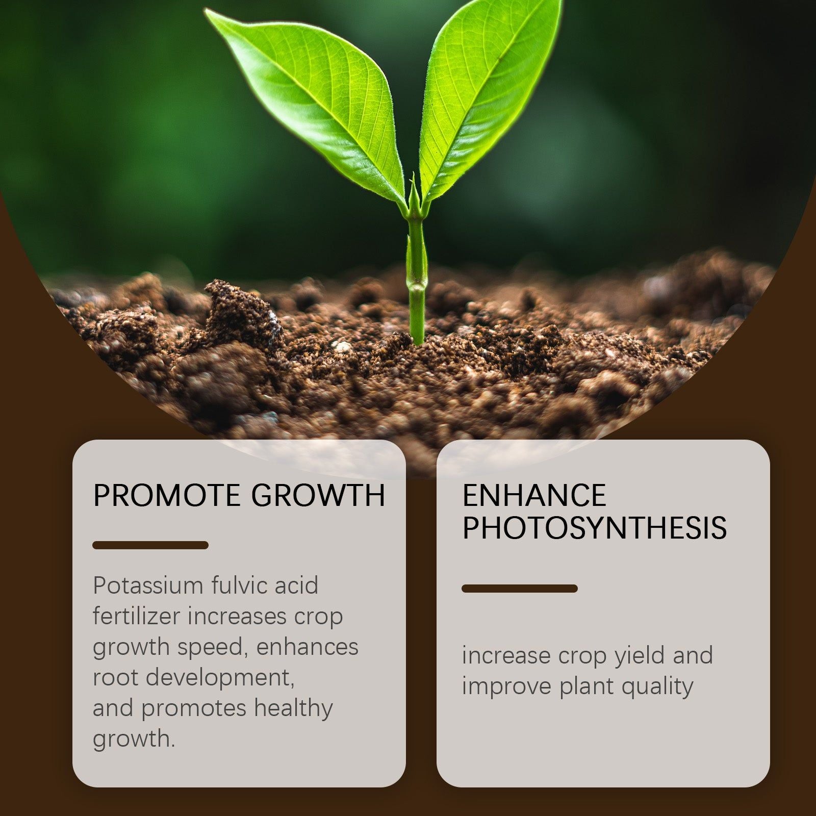 Boost Plant Growth with Soil Activator, Rooting, Fertilizer, Organic, Soil Health ,60g