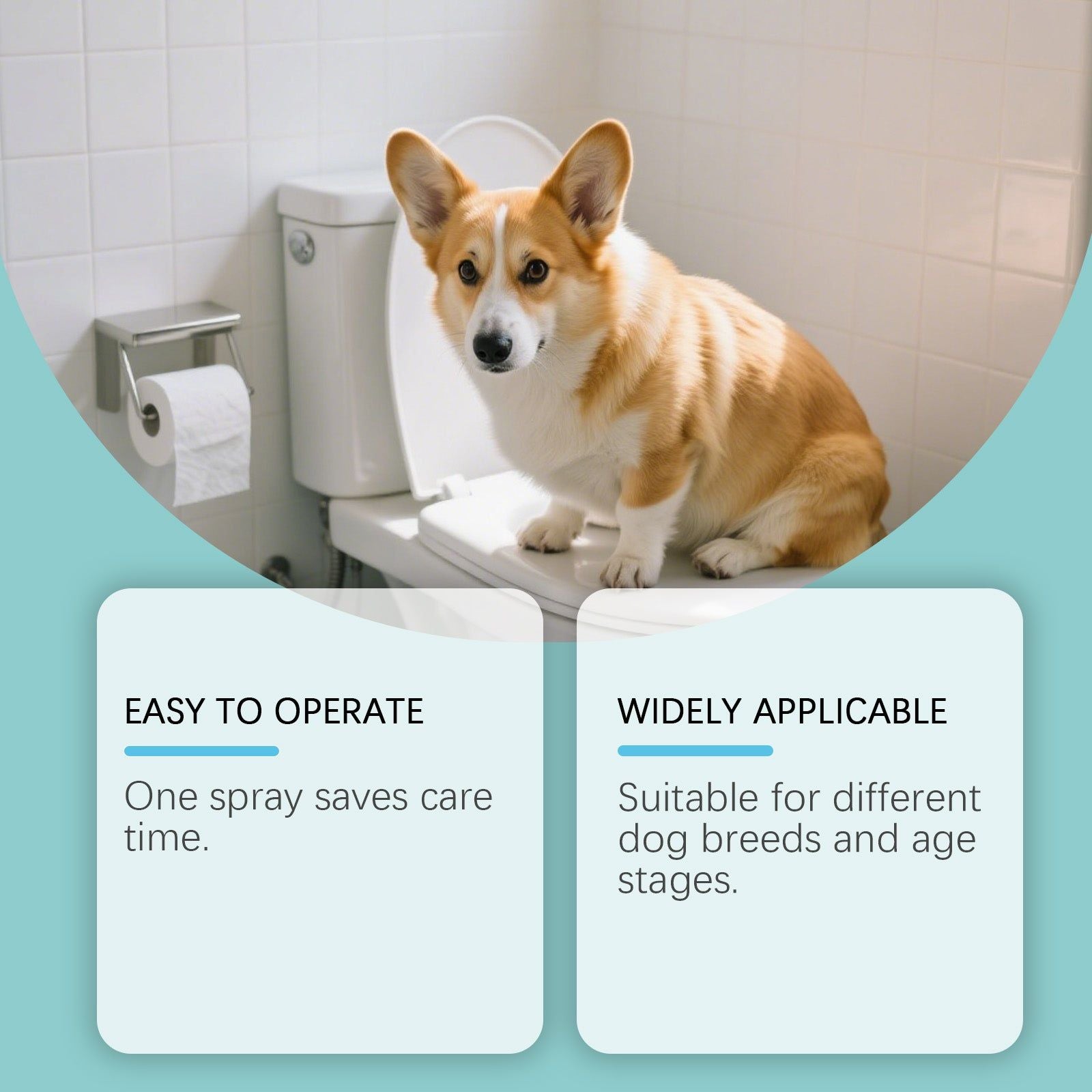 Dog Toilet Training Spray, Pet Care, Easy Potty Training, Fix Location, Fast Results ,60ml