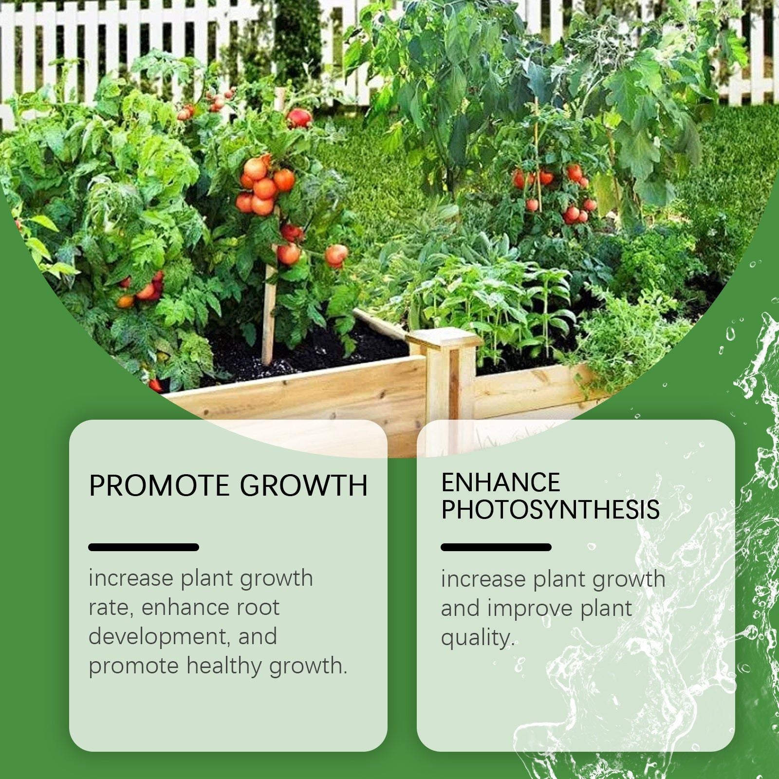 Boost Plant Growth with Top-Rated Plant Nutrient Solution, Fast Root Development, Healthy Flowers and Vegetables ,50ml